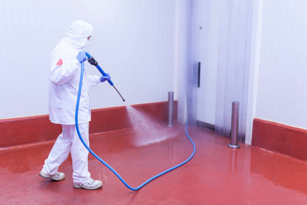 Best Rust Removal  in Hillsboro, TX